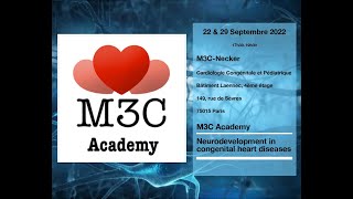 M3C Academy Remédiation et interventions neurodéveloppementales [upl. by Rossuck367]