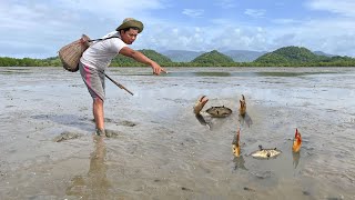 Unique  Catching A Lot Of Huge Mud Crabs at Swamp after Water Low Tide [upl. by Uphemia]