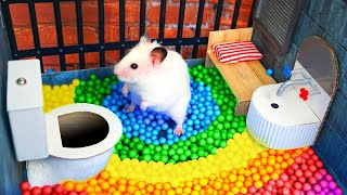 Hamster Escapes the Awesome Maze for Pets in real life 🐹 The Best Hamster Challenges [upl. by Adamina496]