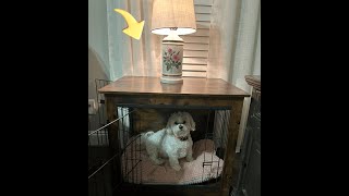 Review NicBex Small Dog Crate Furniture [upl. by Eirrek553]