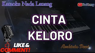 Cinta Keloro Arshinta Dewi KARAOKE NADA COWOK [upl. by Esahc]