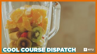 Cool Course Dispatch Food and Design [upl. by Eenet]