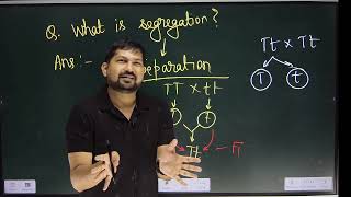 Law of Segregation Principles of inheritance Mendelism NCERT Biology class 12th NEETUG [upl. by Tomas]