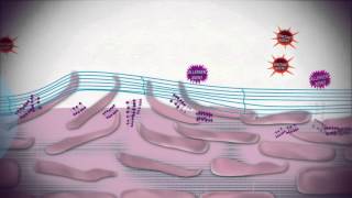 Uriage Bariederm  Isolating and repairing skincare [upl. by Derfiniw445]