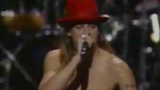 Aerosmith Live Walk This Way Featuring Kid Rock And Run DMC [upl. by Sacha]