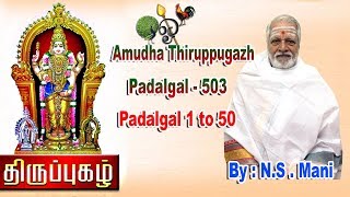 Amudha Thiruppugazh Padalgal  503  Padalgal 1 to 50 [upl. by Dong]