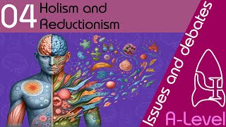 Holism and reductionism  Issues and debates ALevel Psychology [upl. by Yhtnomit707]