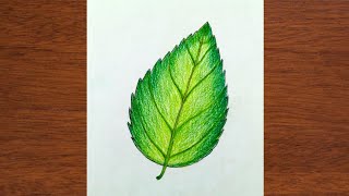 How to draw a Leaf  easy Leaf drawing  beautiful Leaf drawing  step by step by iqra easy draw [upl. by Eatton]