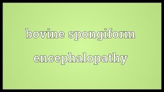 Bovine spongiform encephalopathy Meaning [upl. by Close]