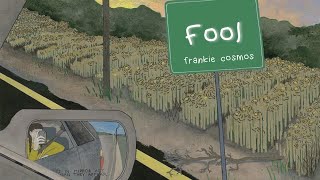 Frankie Cosmos  Fool lyrics [upl. by Myrtice]