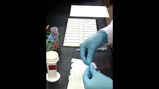 How to make a Cytology Smear [upl. by Redneval130]