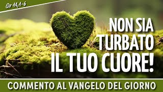 NON SIA TURBATO IL TUO CUORE  Gv 1416  Commento al vangelodelgiorno [upl. by Aiyram236]