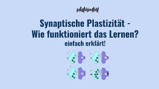 Synaptische Plastizität einfach erklärt  Definition  Kurzzeit amp Langzeitlernen  LTP Amboss [upl. by Mattson]