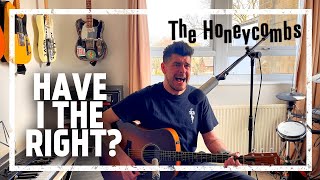 The Honeycombs  Have I the Right Acoustic Cover [upl. by Becka]