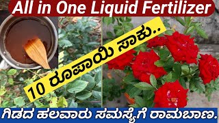 Organic Liquid Fertilizerಹೂವು ಆಗದ ಗಿಡಗಳಲ್ಲಿ ಗೊಂಚಲು ಗೊಂಚಲು ಹೂವು ಮೊಗ್ಗು ಉದುರುವ ಸಮಸ್ಯೆಗೆ ಒಳ್ಳೆ ಉಪಾಯ [upl. by Anilorac105]