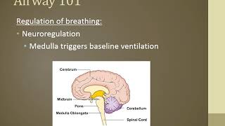 Oxygenation Perfusion amp Capnography [upl. by Odlanyer]