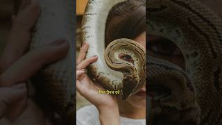 quotYes Some Snakes Can Flyquot shorts viralvideo viralshorts [upl. by Mani]