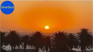 Swakopmund 2o24  Namibia 🇳🇦  Traumziel der Deutschen zwischen Palmen und Wüste am SüdAtlantik [upl. by Weisbart240]