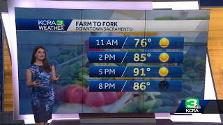 Sacramento FarmtoFork Forecast  Sept 21 2024 [upl. by Yttisahc206]