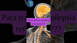 Sabías que diversos estudios han determinado que colocar un dispositivo reconocido [upl. by Whitehurst]