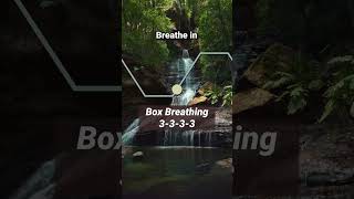 Box Breathing for Beginners 3333 [upl. by Vilma]