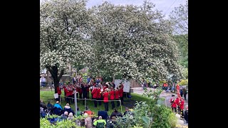 Whit Friday 2024 Dobcross Band Contest FULL playlist 70 bands Running order in description [upl. by Nirahs794]