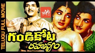 Dhammu Dammu Hindi Dubbed Full Movie  Jr NTR Trisha Krishnan Karthika Nair Brahmanandam [upl. by Yendroc176]