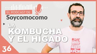 KOMBUCHA ¿es tan saludable 🥤 🔎  con Jordi Dalmau  36 [upl. by Terena]