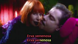 Rita Lee  Erva Venenosa Karaoke [upl. by Gardy]