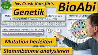 Genetik Anwendungsaufgabe AFB II Art der Mutation herleiten  Stammbaum analysieren  BioAbi 2023 [upl. by Cyma]