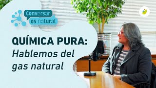 ¿Qué es el GAS NATURAL y cómo está compuesto [upl. by Nainatrad]