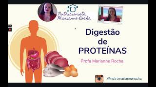 DIGESTÃO DE PROTEÍNAS  NUTRIÇÃO HUMANA [upl. by Hartmunn]