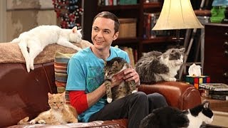 The Big Bang Theory  Favorite Clip from The Zazzy Substitution [upl. by Aubigny]