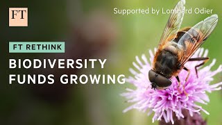 Biodiversity funds are springing up in the investor market  FT Rethink [upl. by Charbonnier]