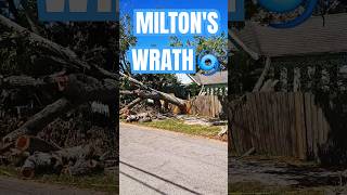 MILTYS WRATH The Clean Up hurricanemilton hurricane tampa tampabay hurricane damage milton [upl. by Aitselec]