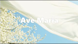 AVE MARIA  Gen Verde Cover [upl. by Acimaj671]