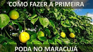 1° PODA DO MARACUJÁ  TENHA MAIS FRUTOS COM ESSA DICA [upl. by Yesor]