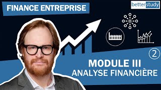 COURS de FINANCE DENTREPRISE  Module 3  Partie 2  Analyse financière [upl. by Pollak]