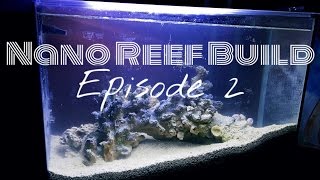 Nano Reef Build Fishless Cycling [upl. by Nezah]