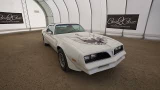 1979 Pontiac Trans Am [upl. by Laresa]