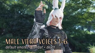 FFXIV Male Viera  Voices 16 [upl. by Nilsoj340]