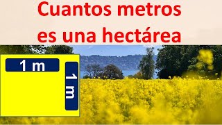 Cuantos metros es una hectarea [upl. by Enneirdna832]