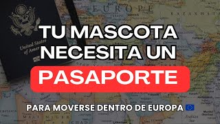 🐾 TU MASCOTA NECESITA UN PASAPORTE 🇪🇺 shorts pasaporte emigrar argentinosenespaña [upl. by Irrak]