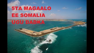 5TA MAGAALO EE SOMALIA UGU DADKA BADAN 2020 [upl. by Aihsele14]