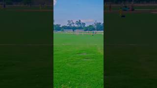 Aleem dar cricket academy 🥰 shorts viral cricket [upl. by Emmaline]