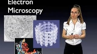 Eva Nogales UC Berkeley Introduction to Electron Microscopy [upl. by Curnin]