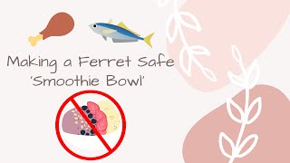 Making My Ferrets a Ferret Safe Smoothie Bowl [upl. by Attela]