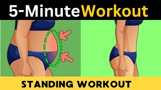 5  MINUTES STANDING EXERCISES  BELLY FAT BURNER [upl. by Eeramit841]