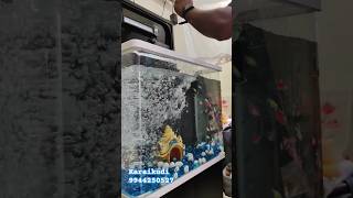 Fish Tank setup video  karaikudi aquarium fishaquarium karaikudi [upl. by Charyl]