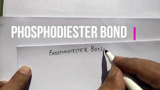 Phosphodiester Bond LectureUrdu Botany III for BS Zoology Botany Chemistry [upl. by Nalahs]